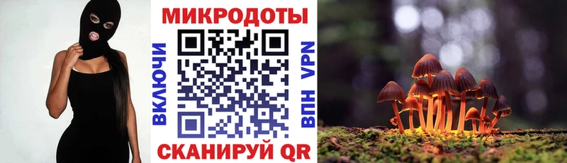 Галлюциногенные грибы мухоморы  Купить закладки  Яровое 